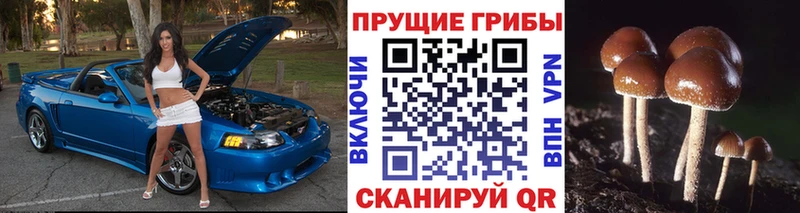 Галлюциногенные грибы мицелий  Купить где  Отрадный 